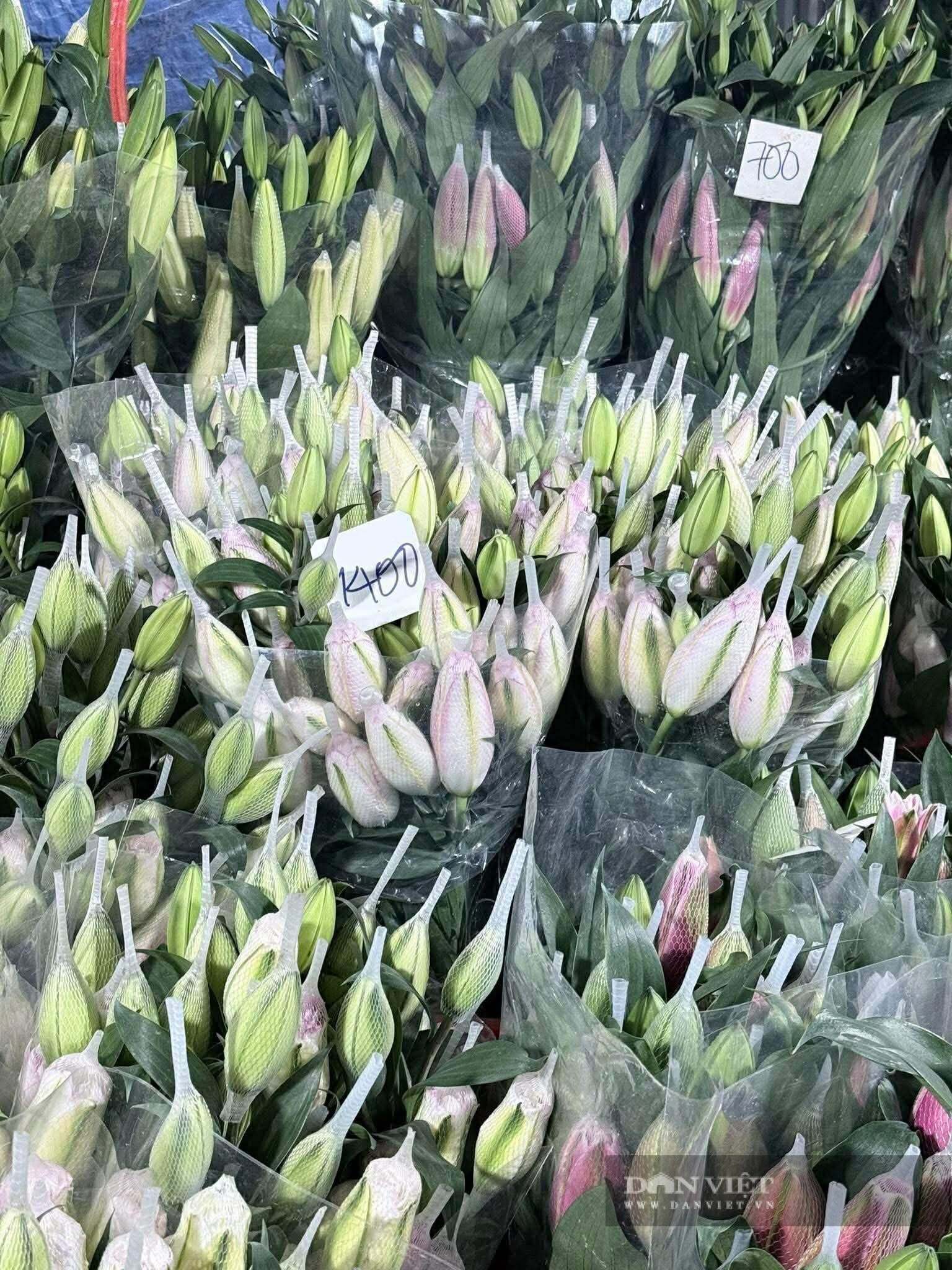 Hoa ly đắt đỏ ngày Tết “nhảy nhót” hơn giá vàng, có nơi bán 1,6 triệu/10 cành khiến nhiều người